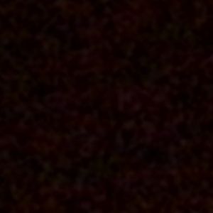 Meet your Posher, Adilyn